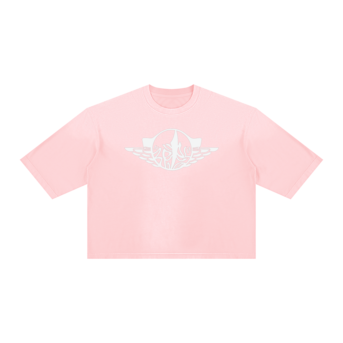 Amaru 1 Unisex Vintage Wash Sunfade Boxy T-Shirt